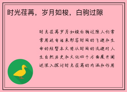 时光荏苒，岁月如梭，白驹过隙